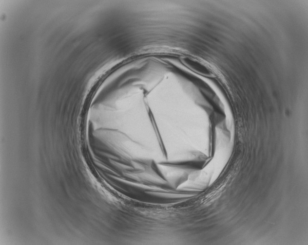 X0000060580995200512011728