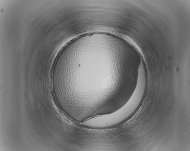 X0000060580996200512011728