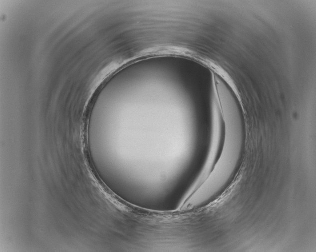 X0000060580997200512011728