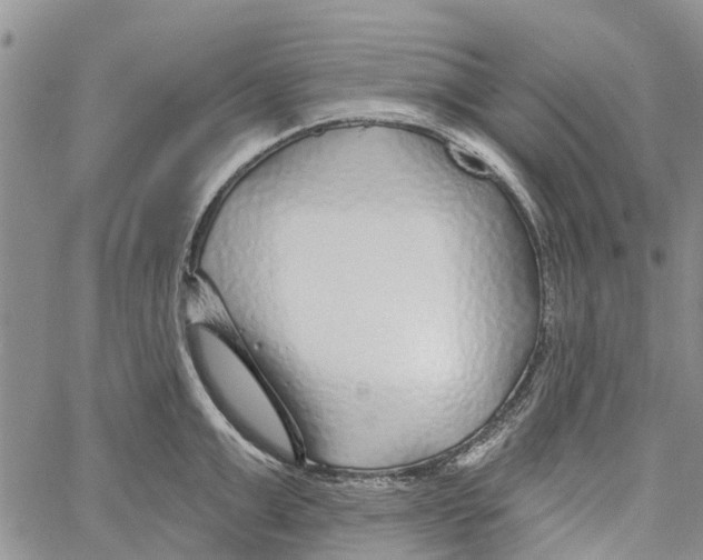 X0000060580999200512011728