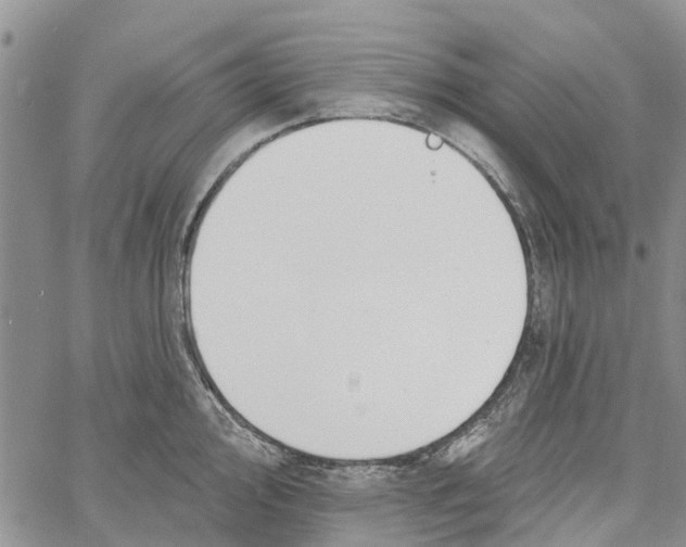 X0000060581000200512011728