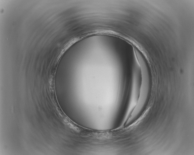 X0000060581001200512011728