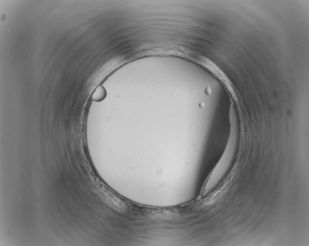 X0000060581002200512011728