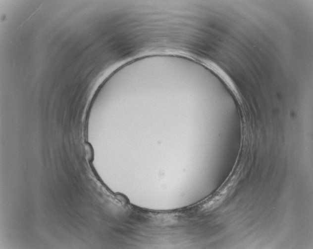 X0000060581004200512011728