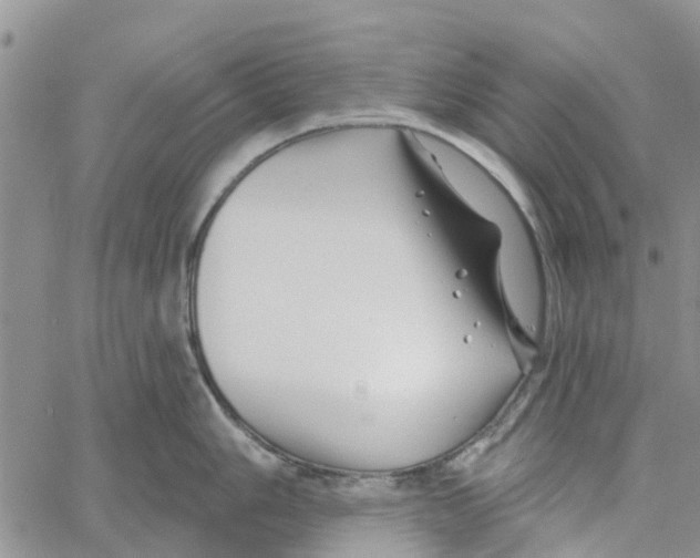 X0000060581006200512011728