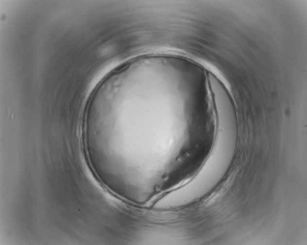 X0000060581007200512011728