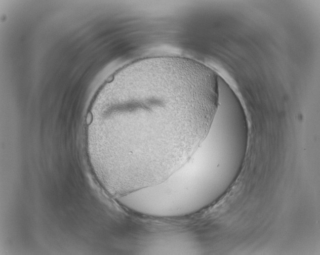 X0000060581008200512011728