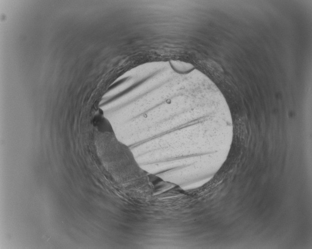 X0000060581009200512011727