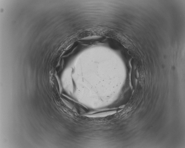 X0000060581010200512011727