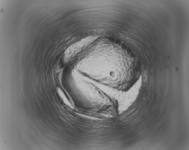 X0000060581011200512011727