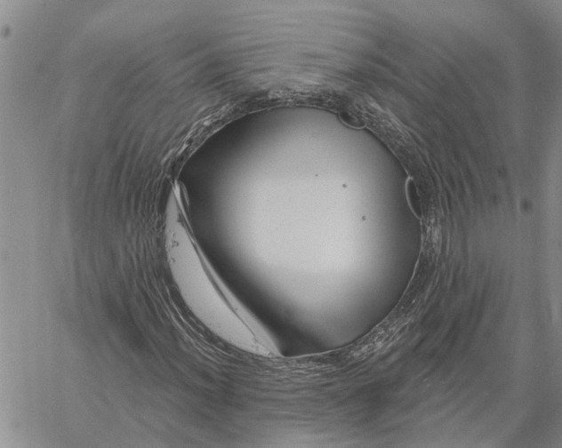 X0000060581012200512011727