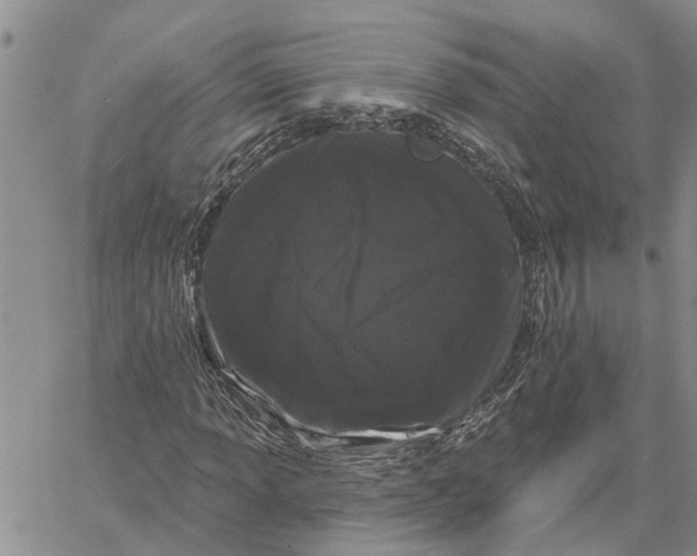 X0000060581013200512011727