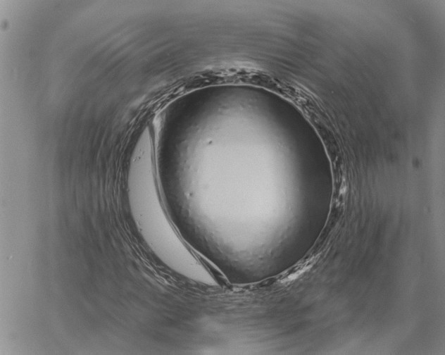 X0000060581014200512011727