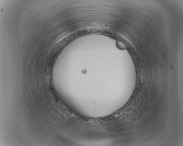 X0000060581015200512011727