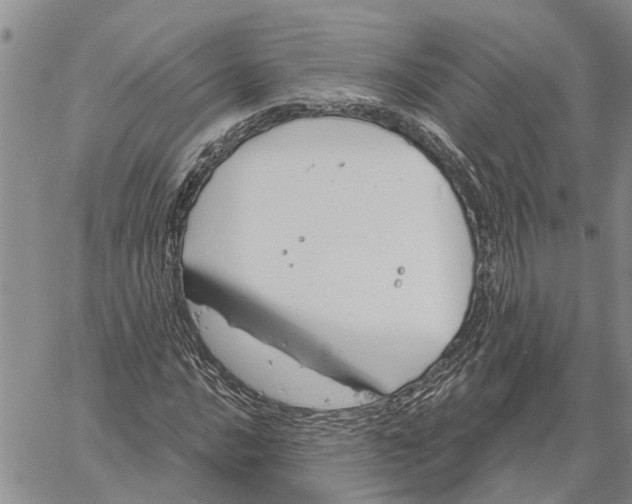 X0000060581016200512011727