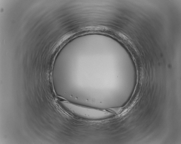 X0000060581017200512011727