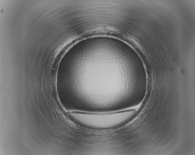 X0000060581018200512011727