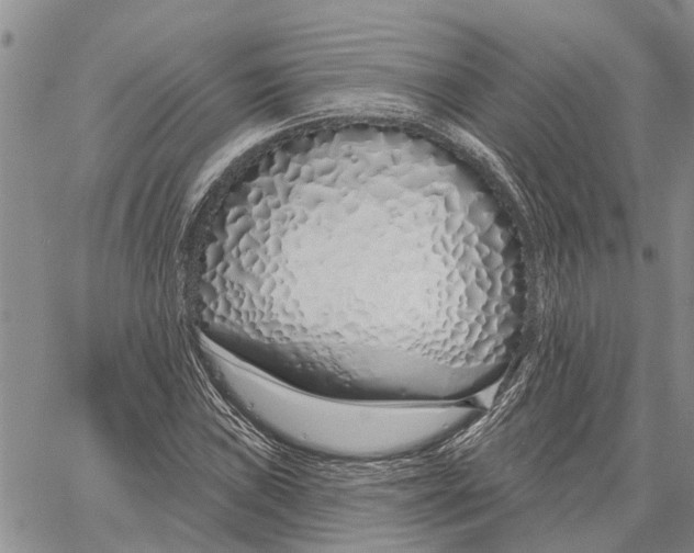 X0000060581019200512011727