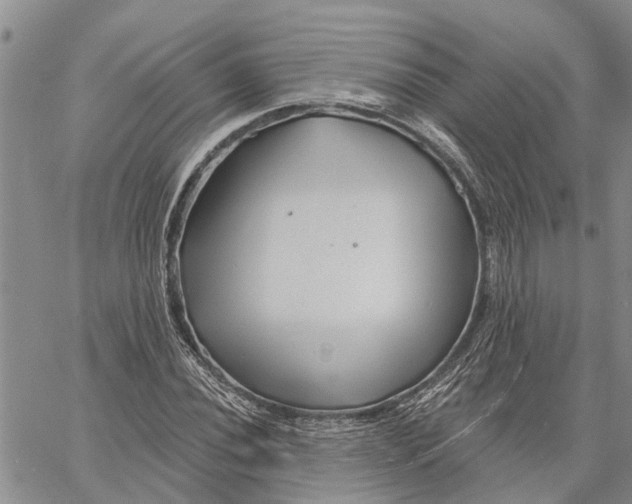 X0000060581020200512011727