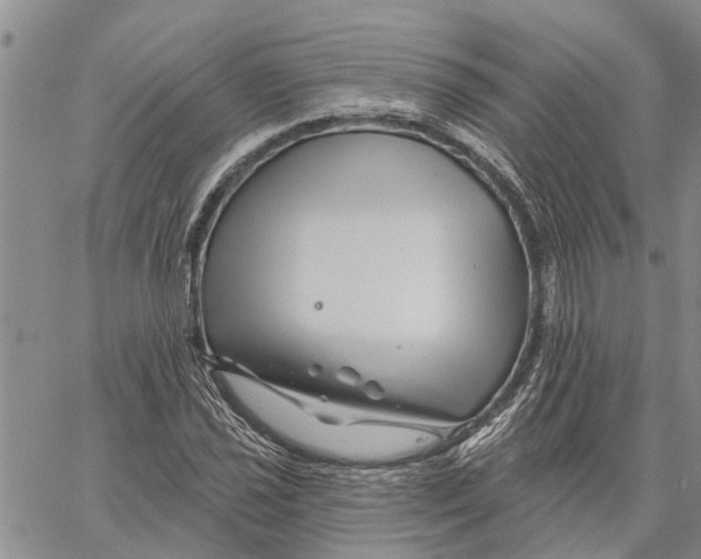 X0000060581021200512011727