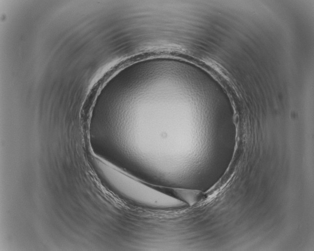 X0000060581022200512011727