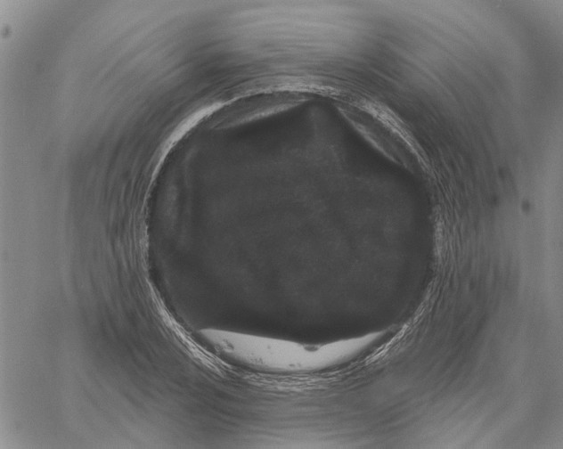 X0000060581024200512011727