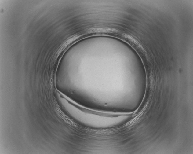 X0000060581025200512011727