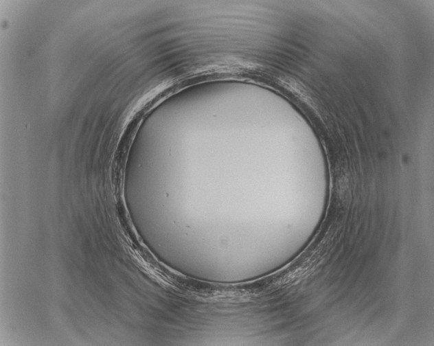 X0000060581026200512011727