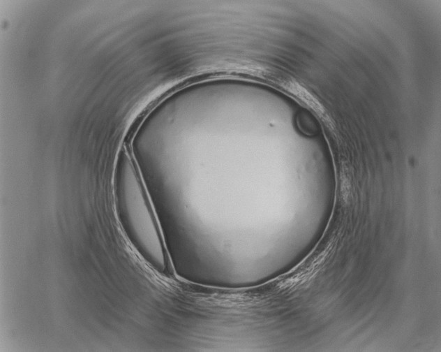 X0000060581028200512011727