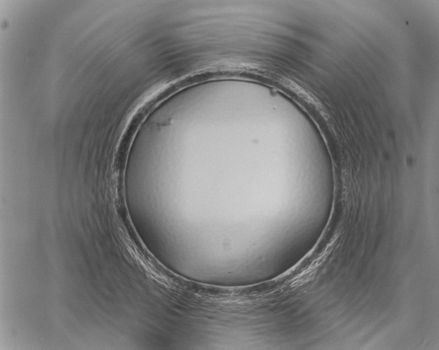 X0000060581029200512011727