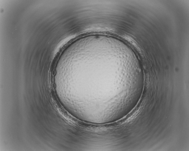 X0000060581030200512011727