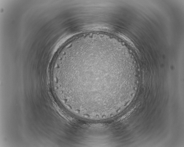 X0000060581031200512011727