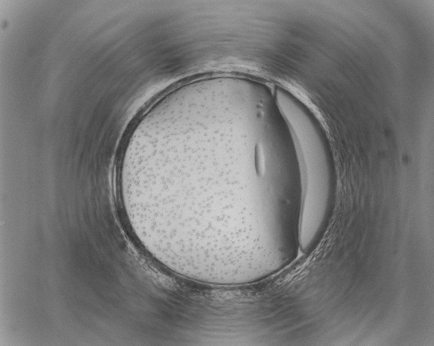 X0000060581032200512011727