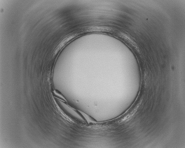 X0000060581033200512011728