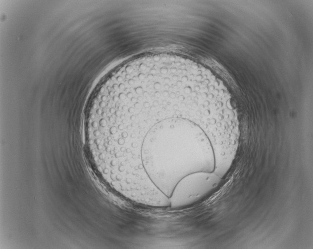 X0000060581036200512011728