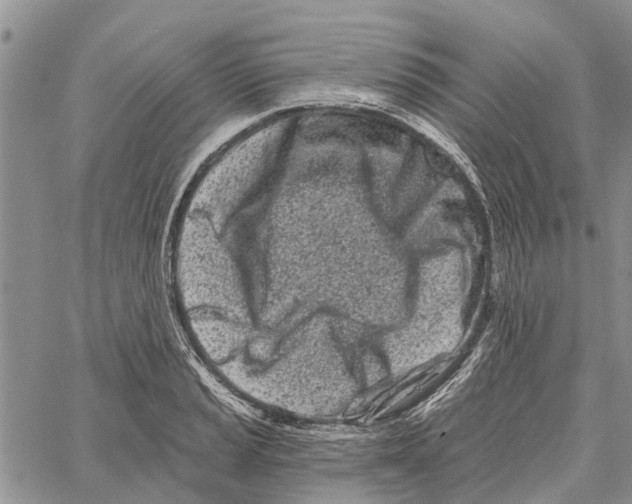 X0000060581037200512011728