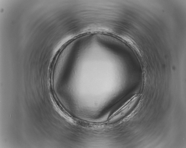 X0000060581038200512011728