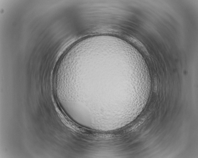 X0000060581039200512011728