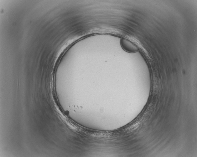 X0000060581040200512011728