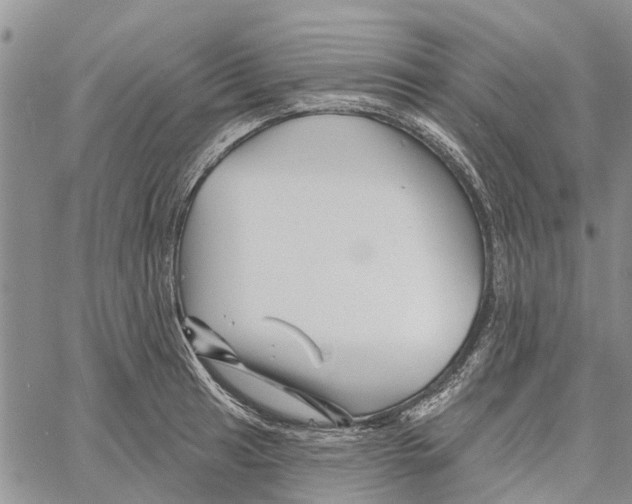 X0000060581041200512011728