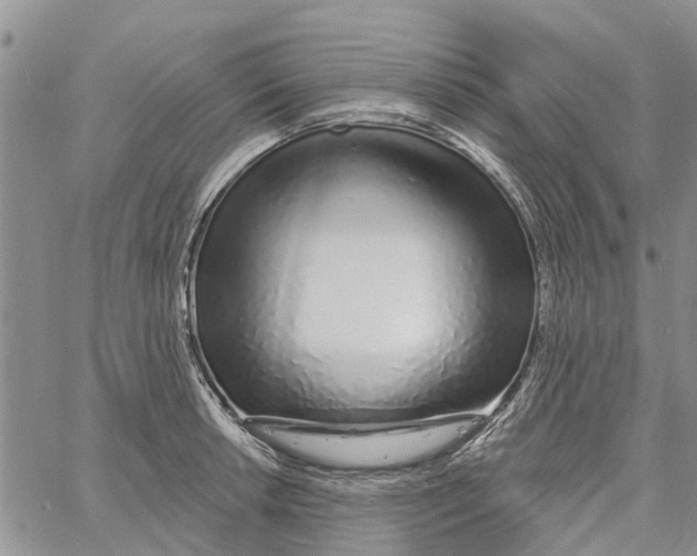 X0000060581042200512011728