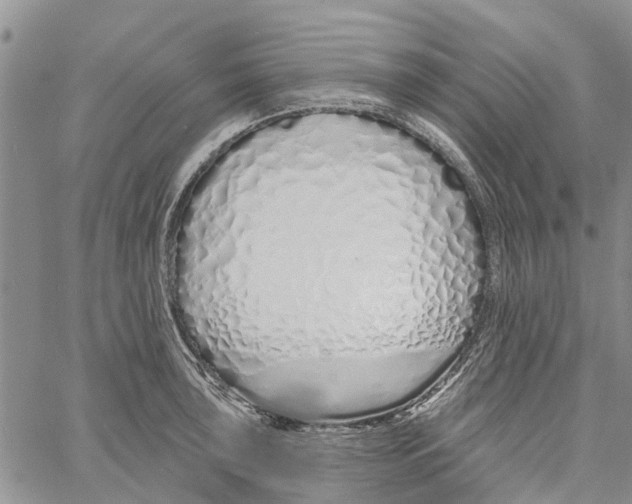 X0000060581043200512011728