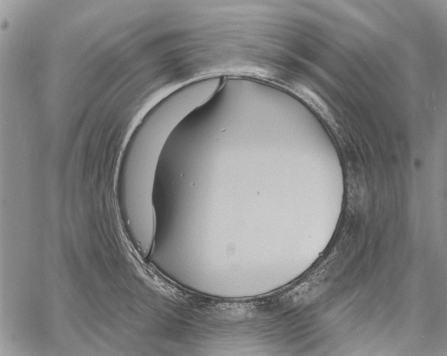 X0000060581044200512011728