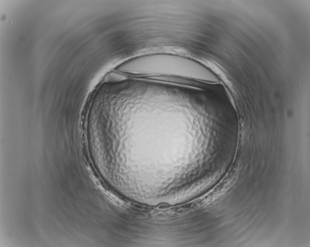 X0000060581046200512011728