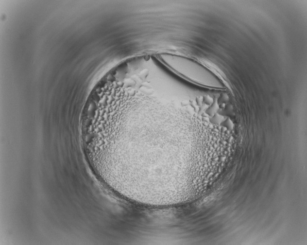 X0000060581047200512011728