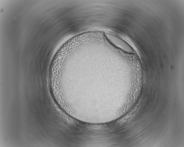 X0000060581048200512011728