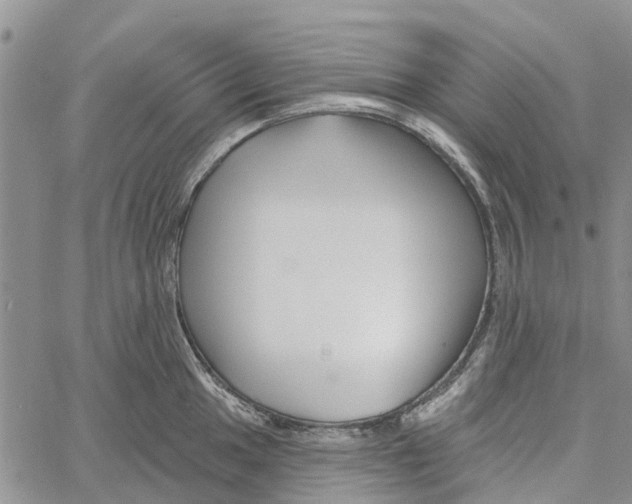 X0000060581049200512011728