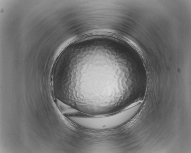 X0000060581050200512011728