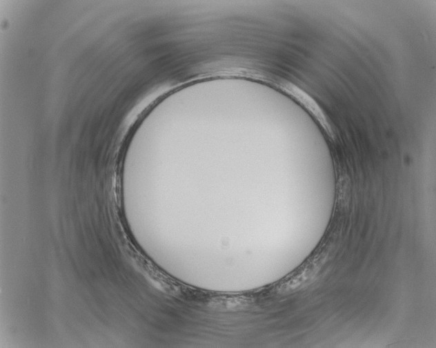 X0000060581051200512011728