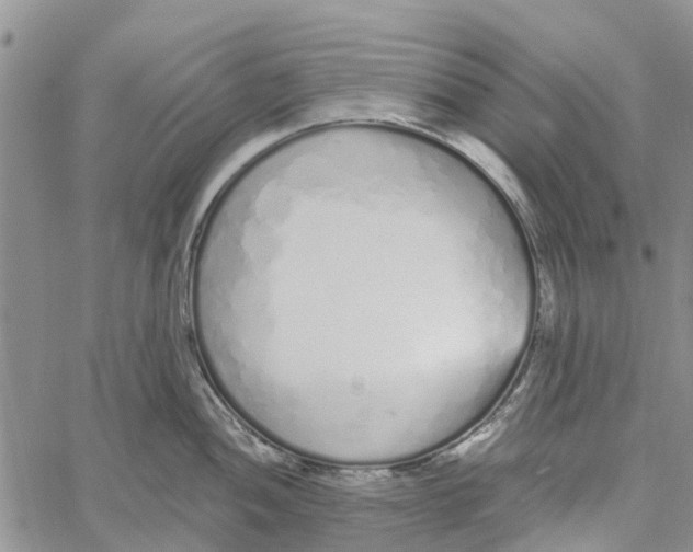 X0000060581052200512011728